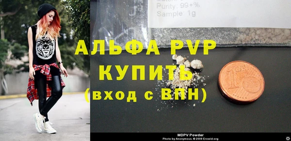 винт Инсар