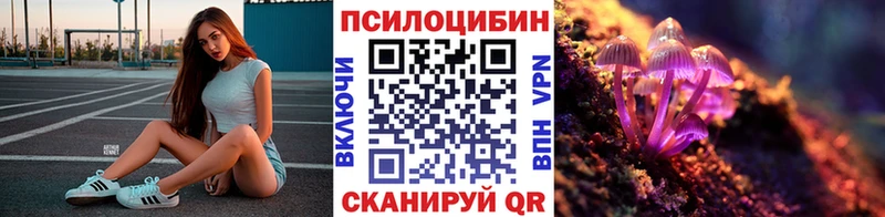 Купить Морозовск Галлюциногенные грибы Cubensis